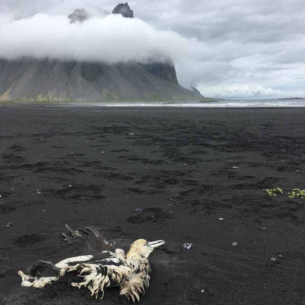 Iceland