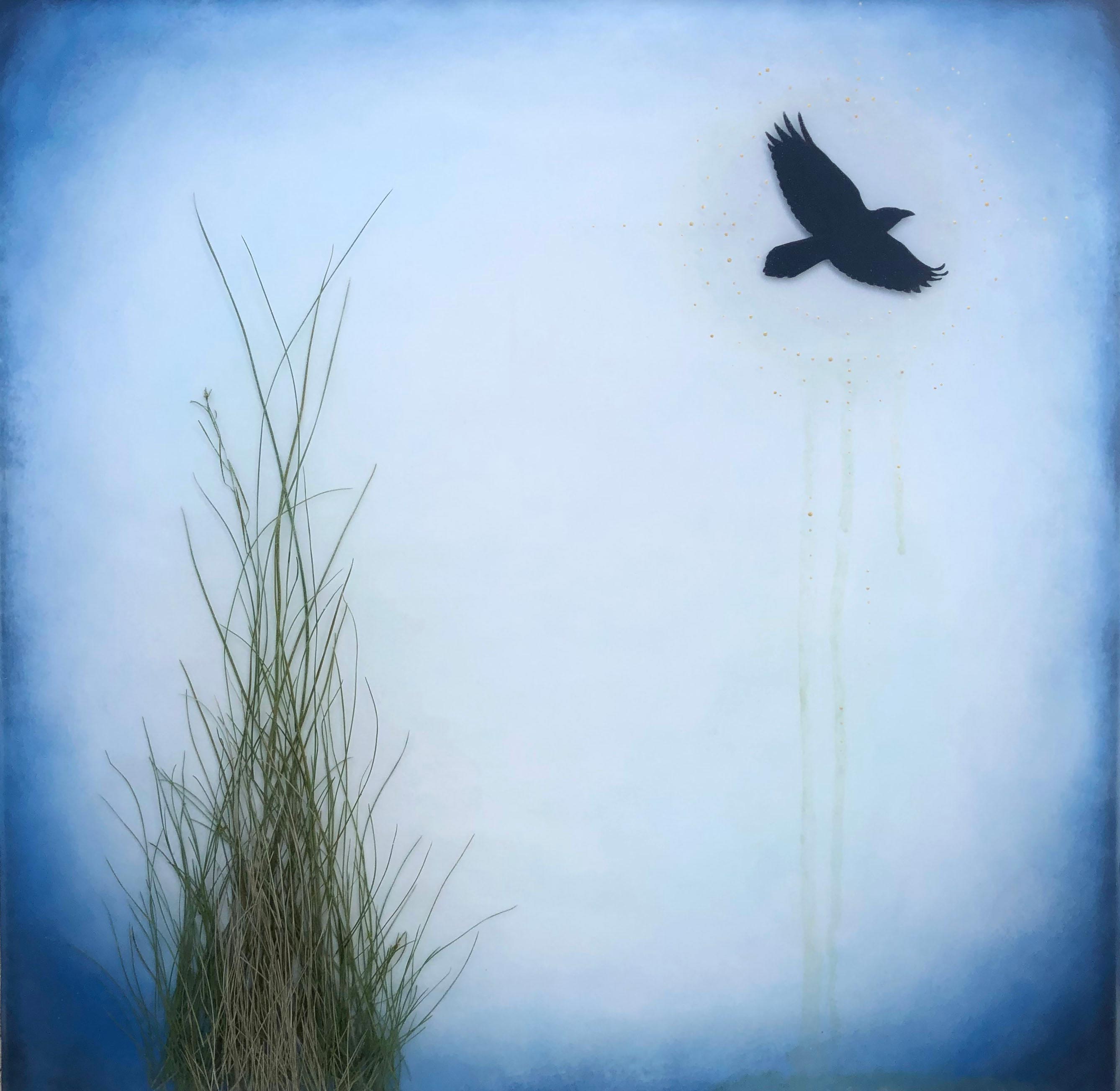 Crow