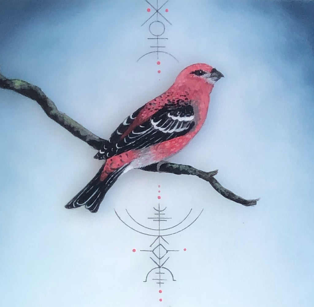 Pine Grosbeak Detail