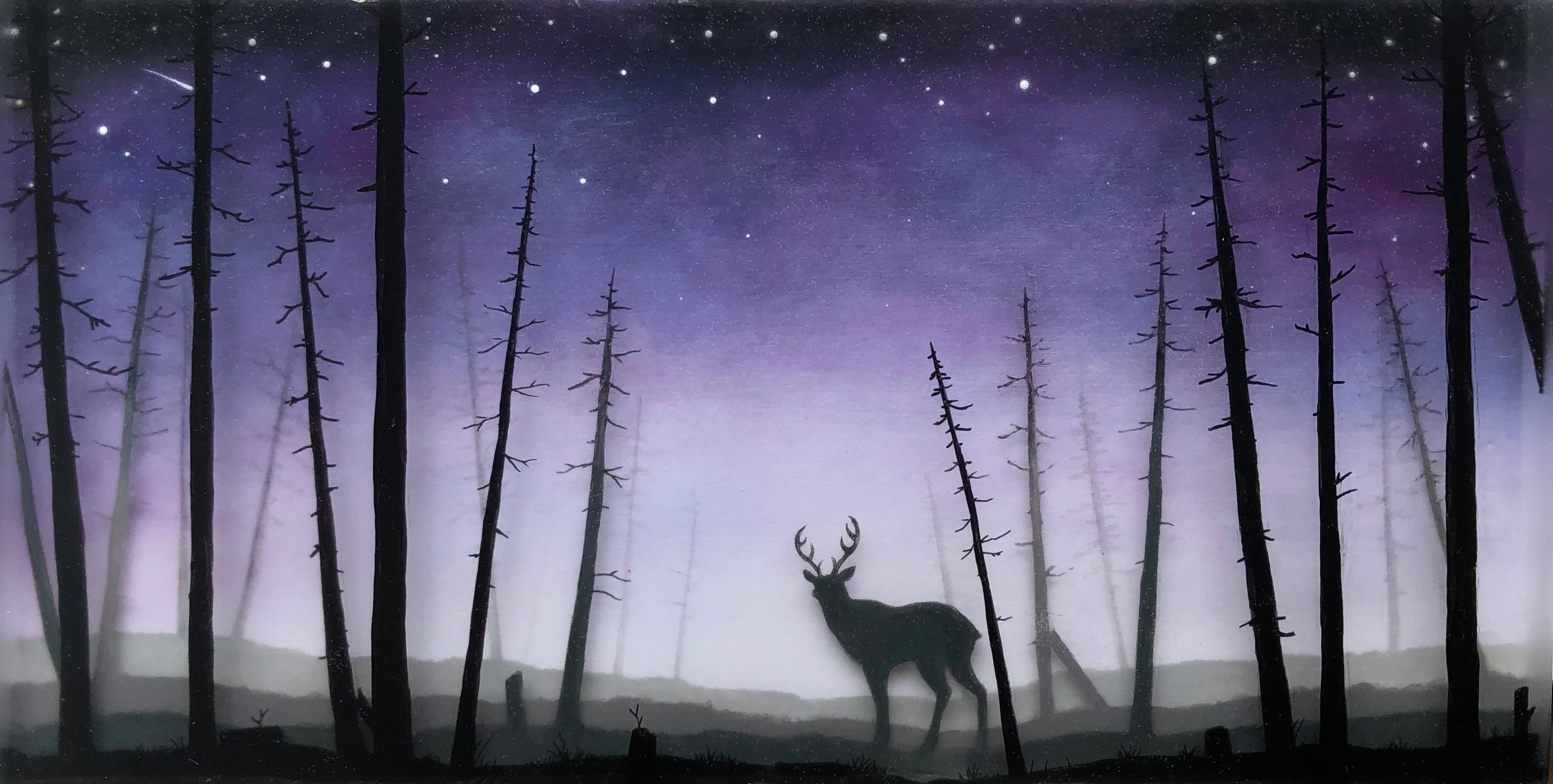Twilight