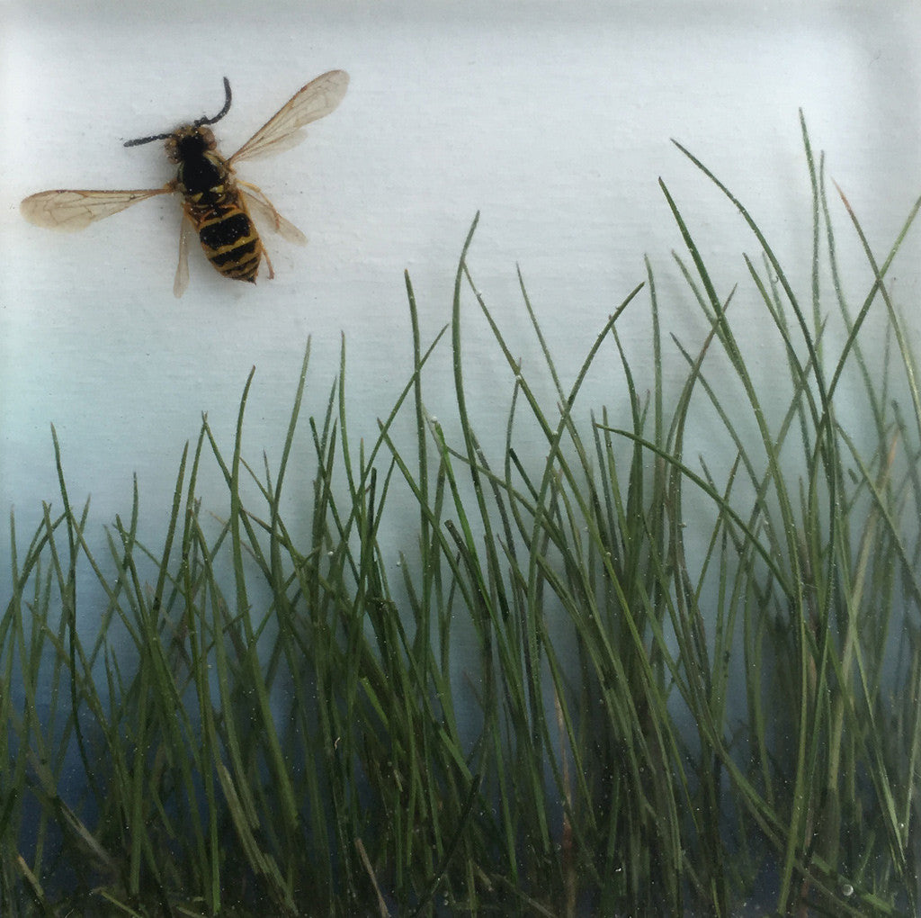 Buzz