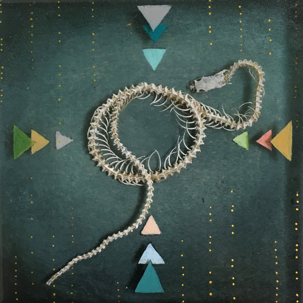 Coil