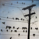 Crowded
