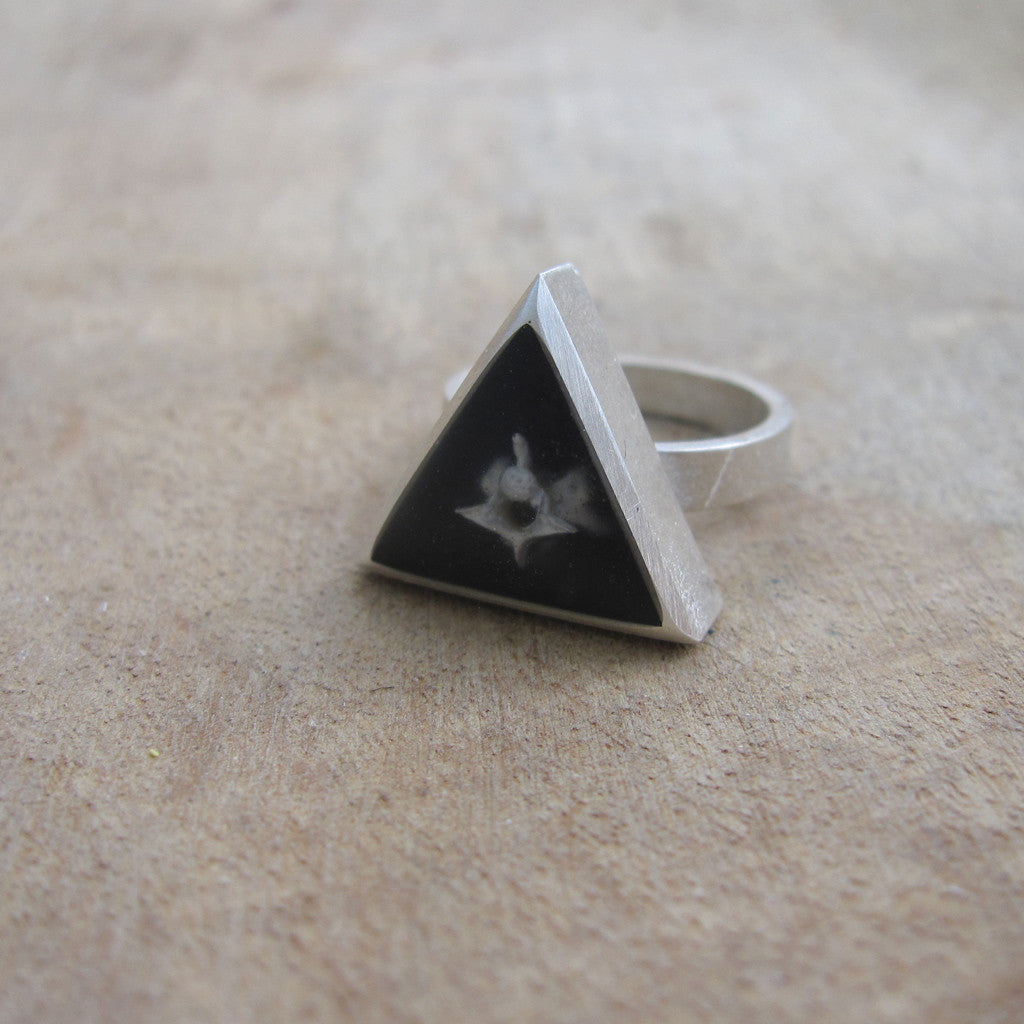 Vertebra ring