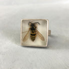 Yellowjacket ring