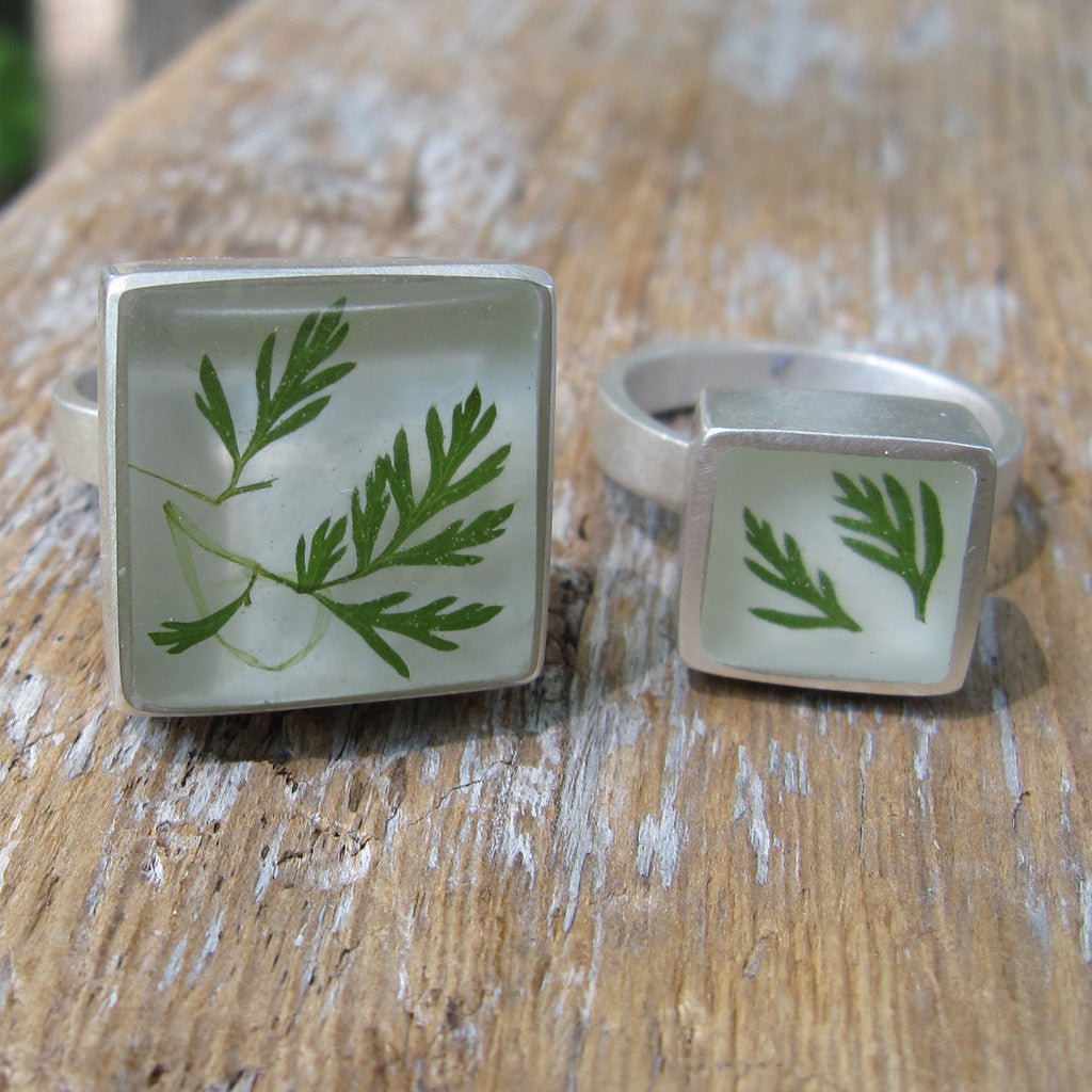 Ferns rings