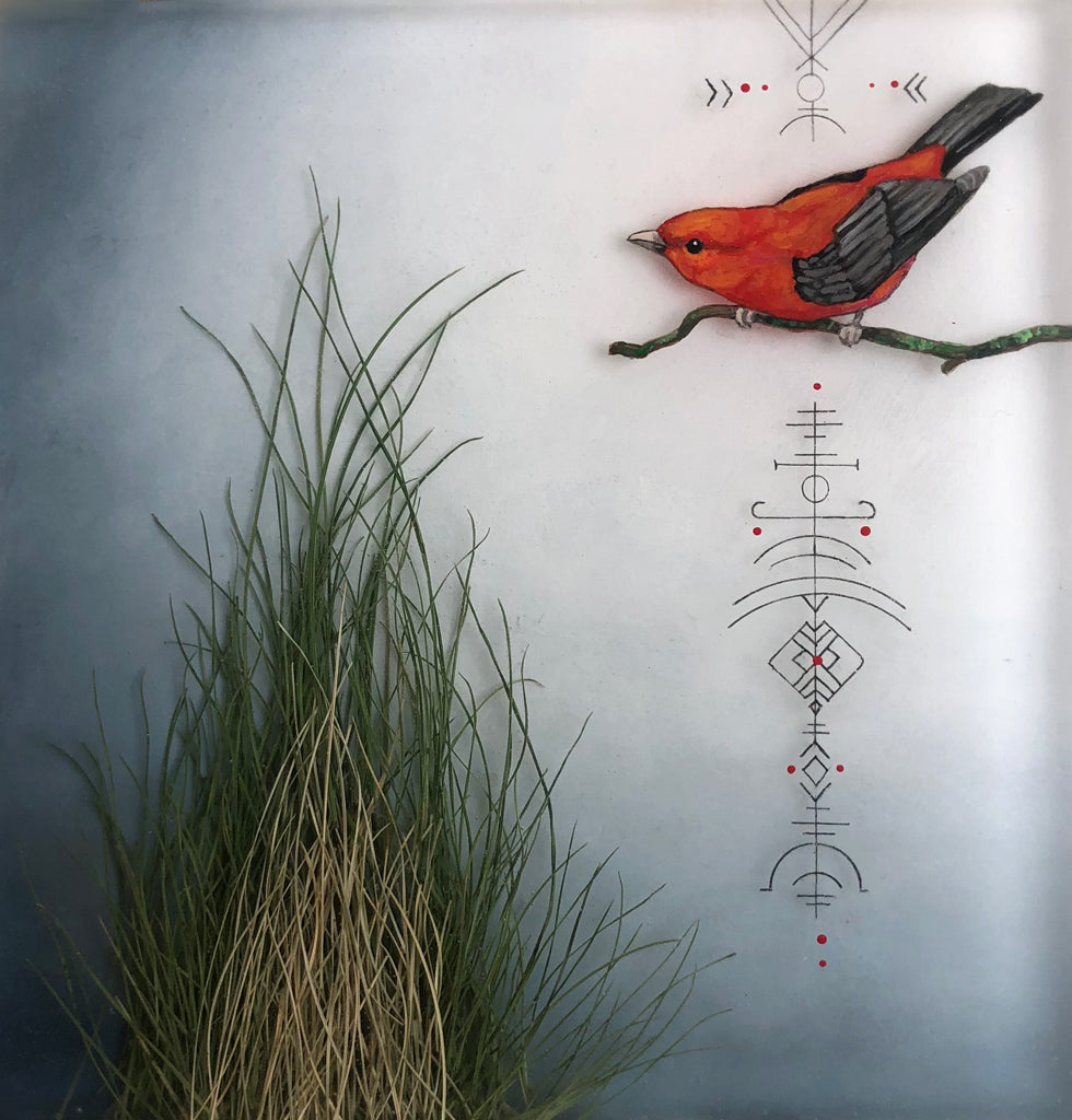 Scarlet Tanager 2