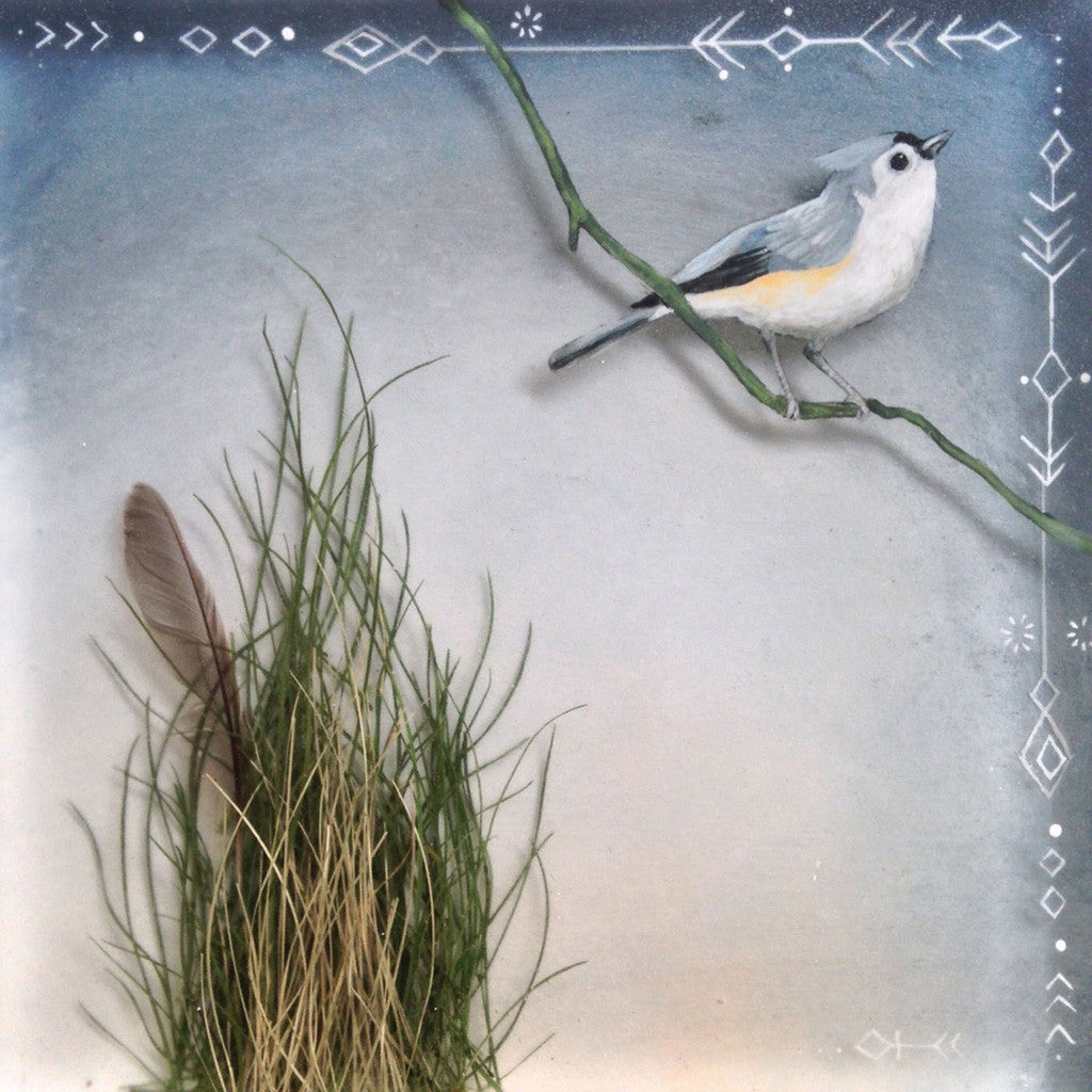 Tufted Titmouse