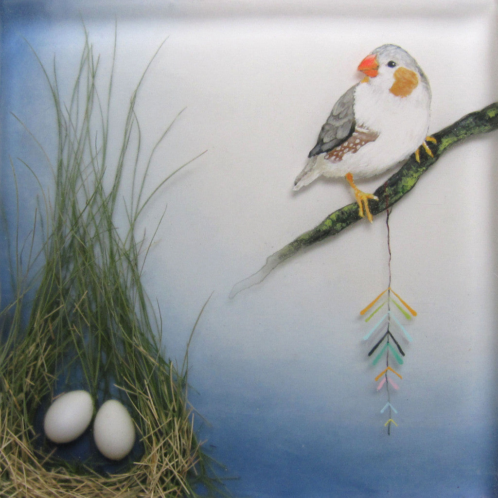 Zebra Finch