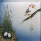 Zebra Finch
